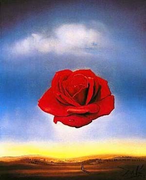 DIE  ROSE
